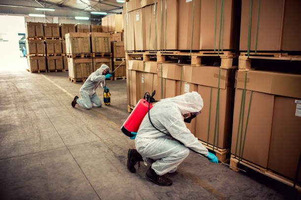 Best Mosquito Control Services  in Washgton, IN