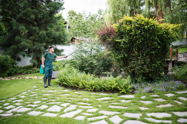Best Pest Removal Services  in Washgton, IN