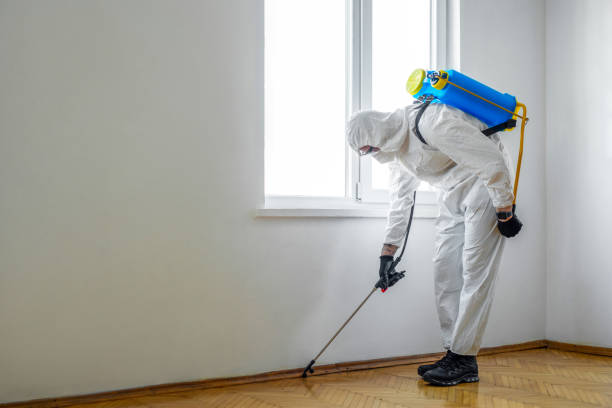 Best Best Pest Control Companies  in Washgton, IN