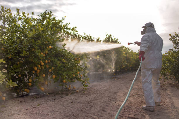 Best Exterminator Services  in Washgton, IN