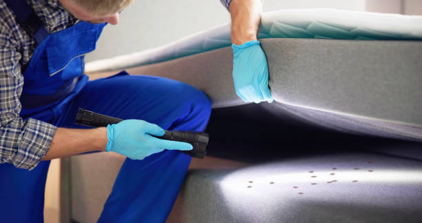 Best Cockroach Control Services  in Washgton, IN