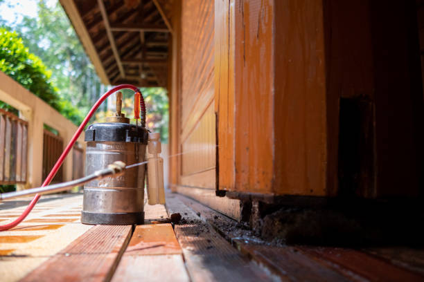 Best Ant Control Services  in Washgton, IN