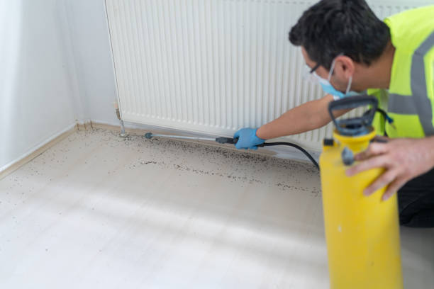 Best Pest Removal Services  in Washgton, IN