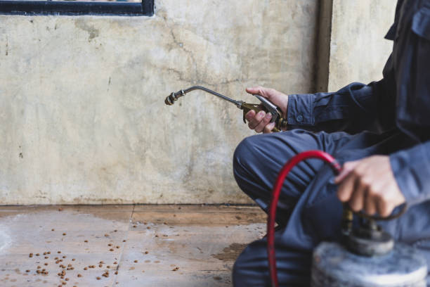 Best Affordable Pest Control Services  in Washgton, IN